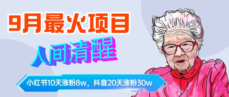 9月最火项目，人间清醒柒奶奶，10天小红薯涨粉8w+，单篇笔记报价1400.-BT网赚资源网