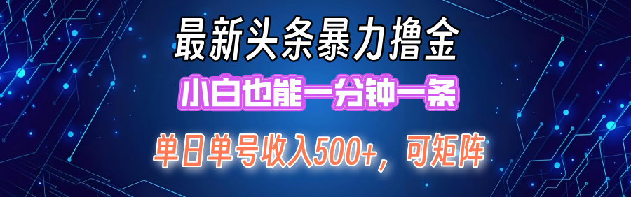 最新头条撸金，小白也能一分钟一条-BT网赚资源网