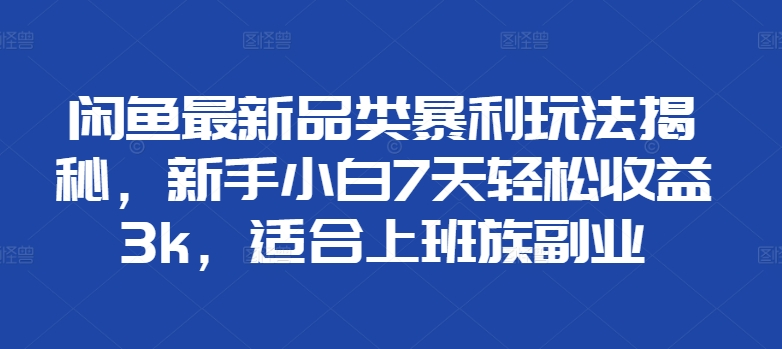 闲鱼最新品类暴利玩法揭秘，新手小白7天轻松赚3000+，适合上班族副业-BT网赚资源网