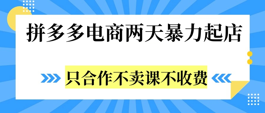 拼多多两天暴力起店，只合作不卖课不收费-BT网赚资源网