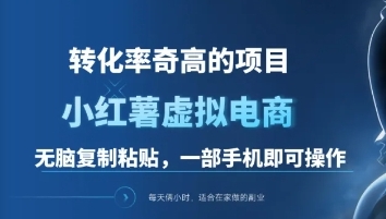 一单49.9，转化率奇高的项目，冷门暴利的小红书虚拟电商-BT网赚资源网