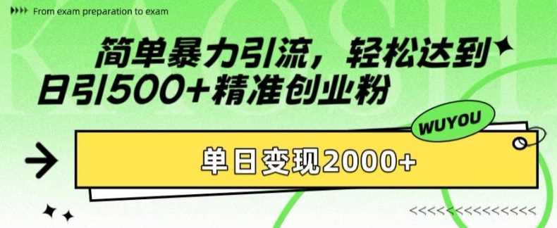 简单暴力引流轻松达到日引500+精准创业粉，单日变现2k【揭秘】-BT网赚资源网