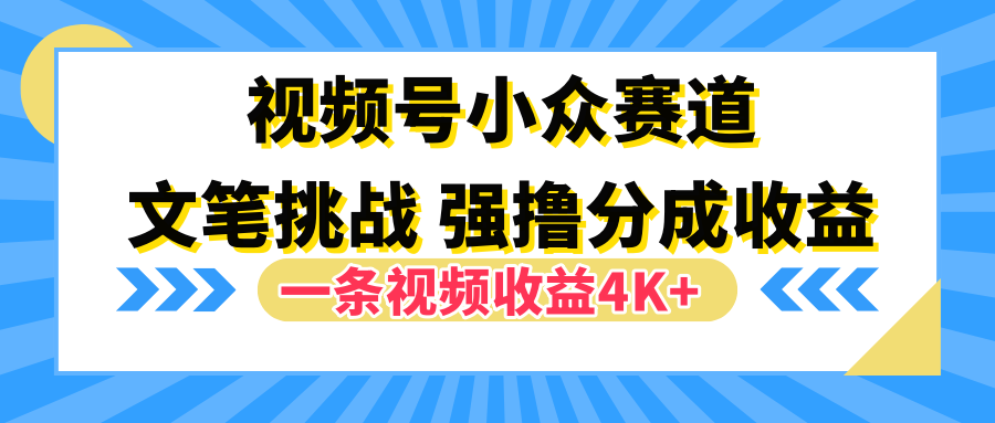 视频号小众赛道，文笔挑战，一条视频收益4K+-BT网赚资源网