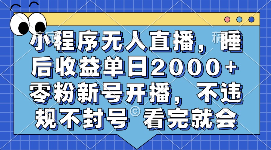 小程序无人直播，睡后收益单日2000+ 零粉新号开播，不违规不封号 看完就会-BT网赚资源网