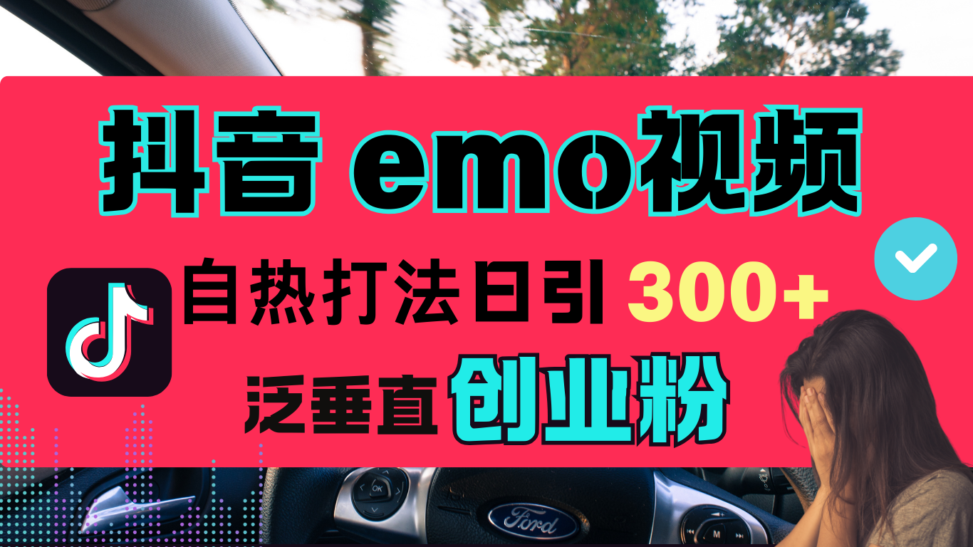 抖音“EMO视频”自热流打法，日引300+泛垂直创业粉-BT网赚资源网