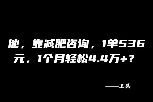 他，靠减肥咨询，1单536元，1个月轻松4.4万+？-BT网赚资源网