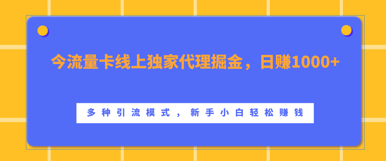 流量卡线上独家代理掘金，日赚1000+ ，多种引流模式，新手小白轻松赚钱-BT网赚资源网