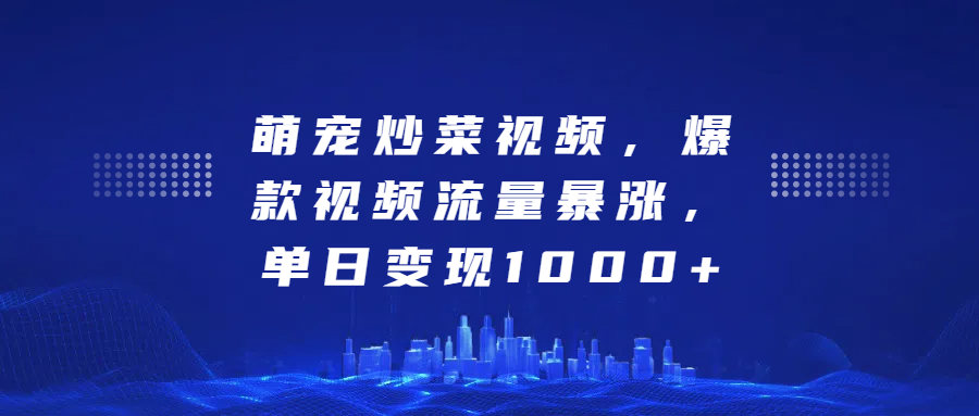 萌宠炒菜视频，爆款视频流量暴涨，单日变现1000+-BT网赚资源网