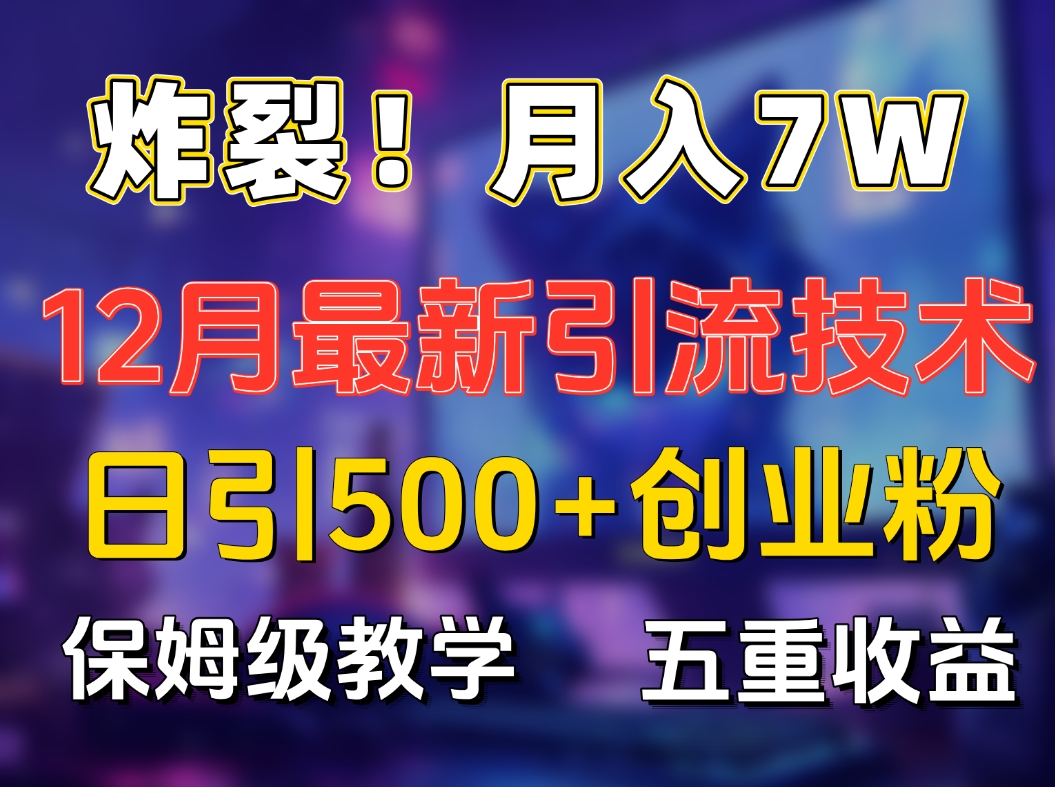 炸裂！月入7W+揭秘12月最新日引流500+精准创业粉，多重收益保姆级教学-BT网赚资源网