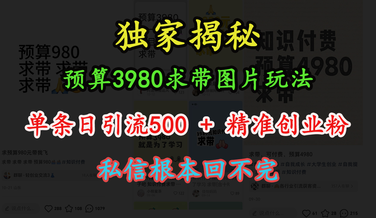 “小红书”预算3980求带 图片玩法，单条日引流500+精准创业粉，私信根本回不完-BT网赚资源网