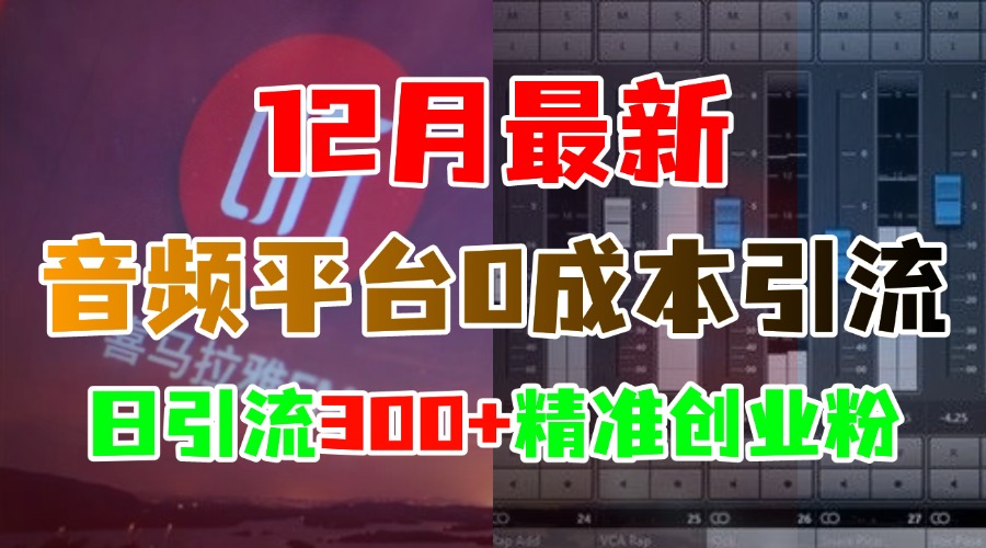 12月最新：音频平台0成本引流，日引300+精准创业粉-BT网赚资源网