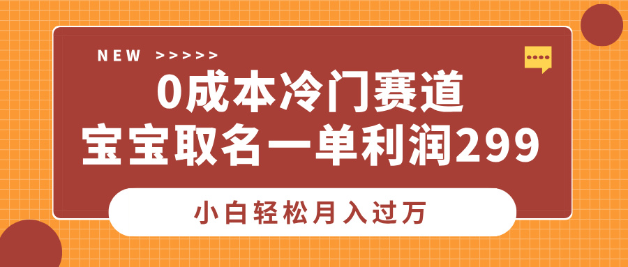 0成本冷门赛道，宝宝取名一单利润299，小白轻松月入过万-BT网赚资源网