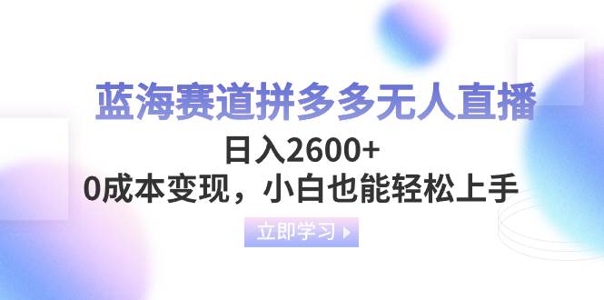 蓝海赛道拼多多无人直播，日入2600 ，0成本变现，小白也能轻松上手-BT网赚资源网