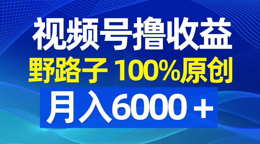 视频号野路子撸收益，100%原创，条条爆款，月入6000＋-BT网赚资源网